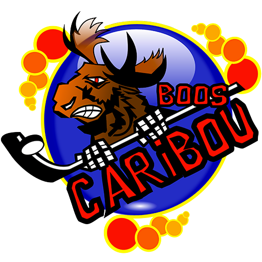 Stage de la Toussaint 2024 | Boos Hockey Club - Les Caribous